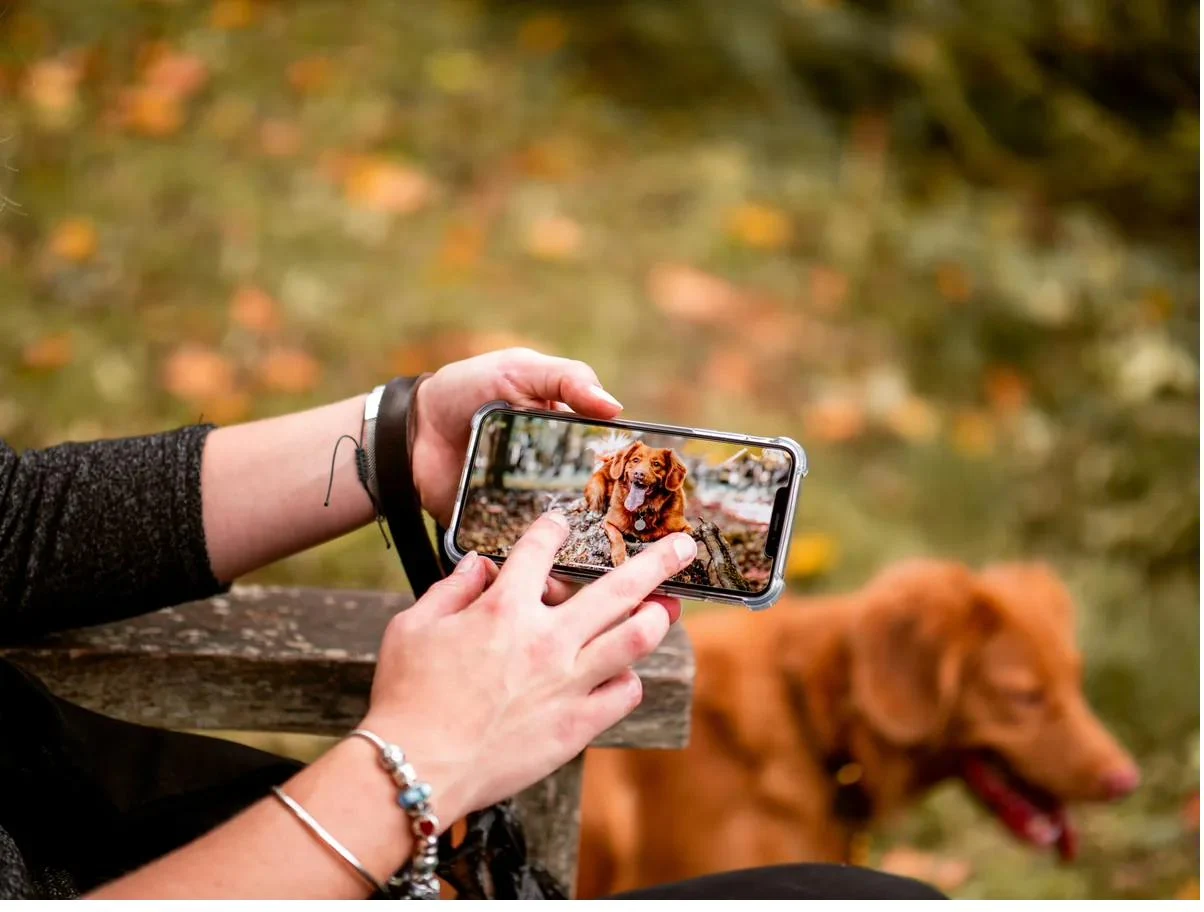 Personne qui photographie son chien avec son téléphone