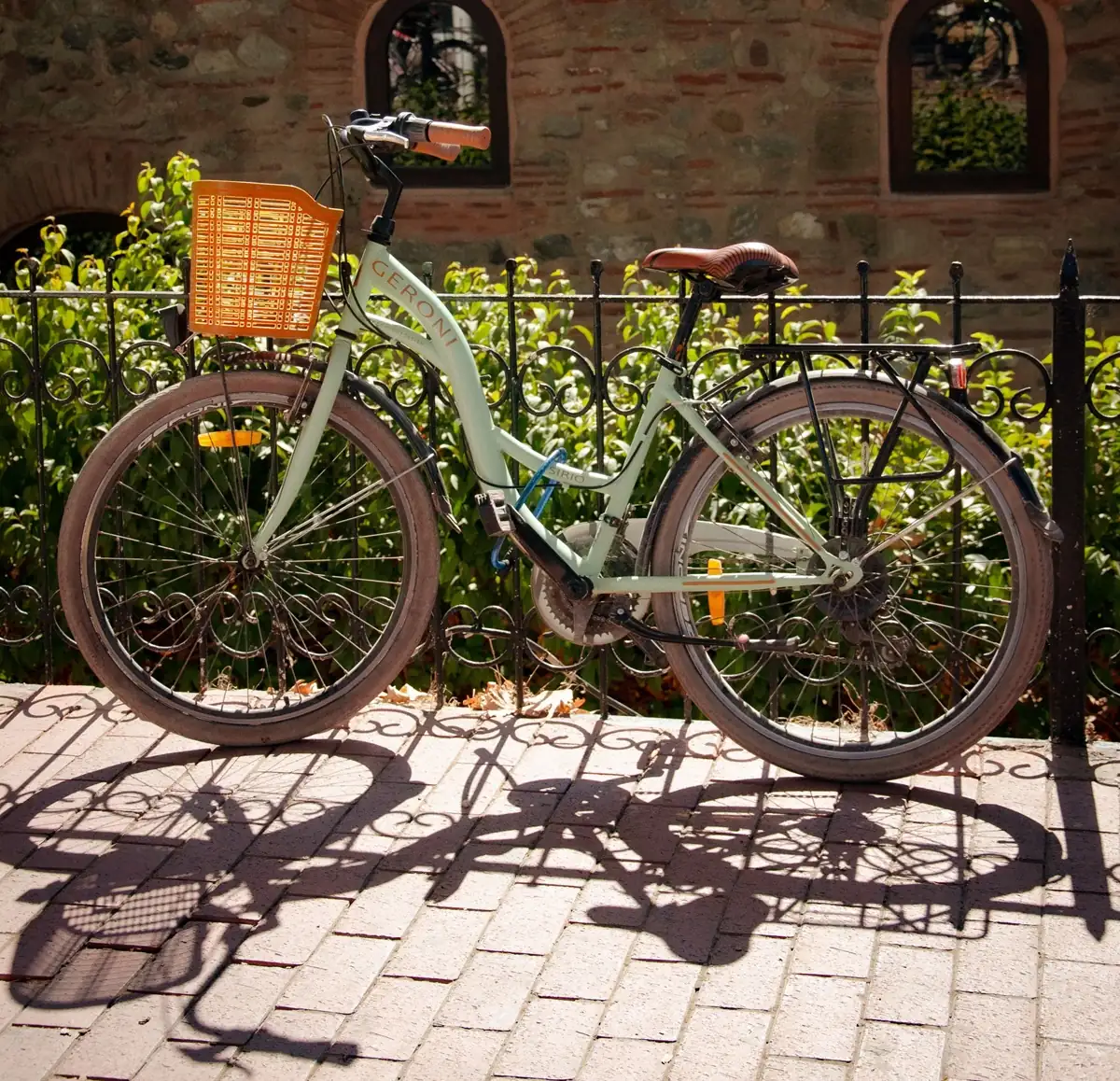 Vélo de montagne noir